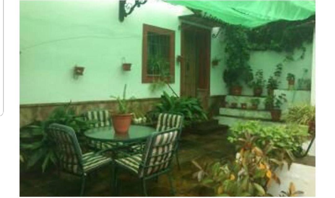 Apartamento En Cortijo Totalmente Reformado En Pleno Paraje Natural Junto Al Caminito Del Rey Y Los Sectores Mas Importantes De Escalada A Solo 2 Minutos De La Estacion De Tren Álora Zewnętrze zdjęcie